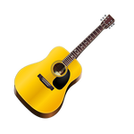 Acoustic Guitar