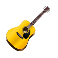 Acoustic Guitar