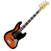 Bass Guitar