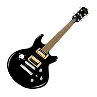 Skull Guitar